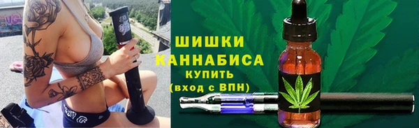 соль ск Ельня