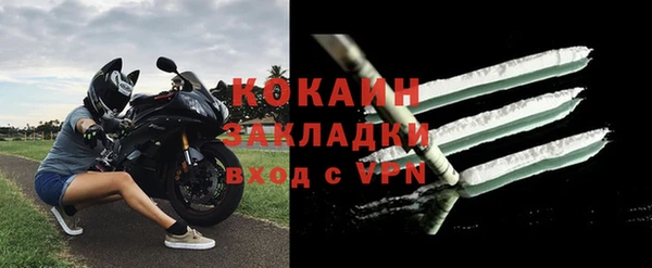 соль ск Ельня