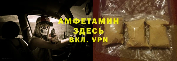 соль ск Ельня