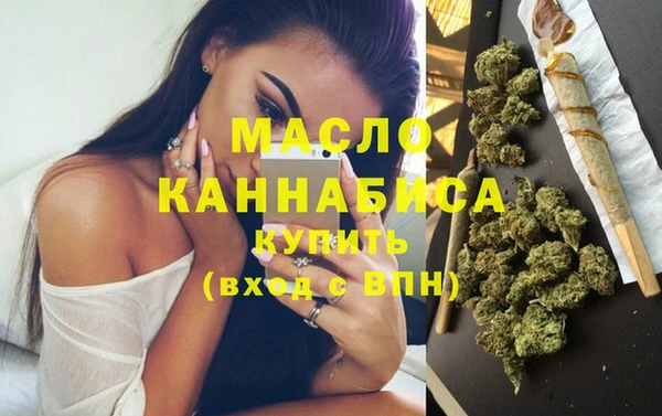соль ск Ельня