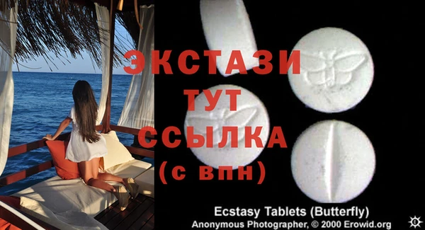 соль ск Ельня