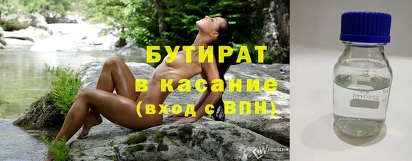 соль ск Ельня