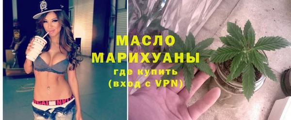 соль ск Ельня