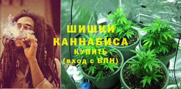 не бодяженный Елабуга