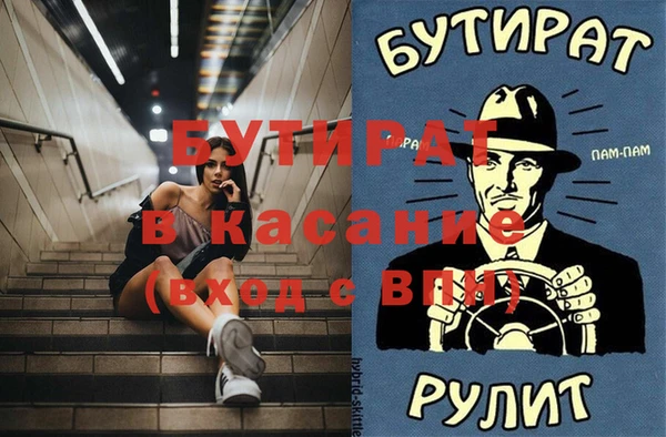 соль ск Ельня