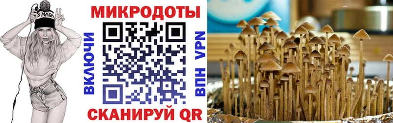 Купить где  Бугульма  Псилоцибиновые грибы мухоморы 